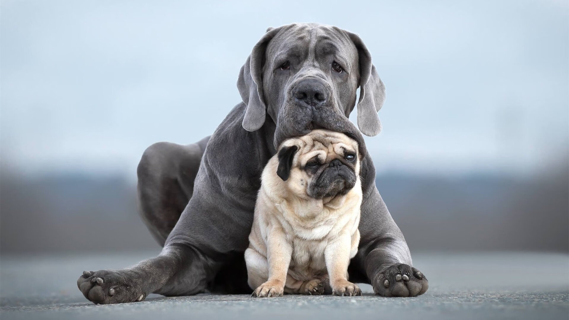 史上最“炫炸”的三分表演:库里在对阵雷霆比赛中投出六个连续三分球!