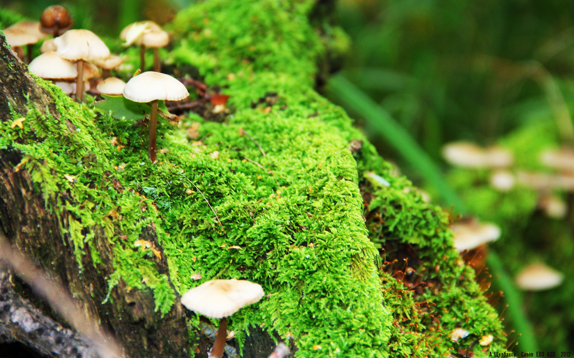 kaiyun官方入口登录-主帅否认更衣室不和传闻，主帅更迭、失去最佳拍档