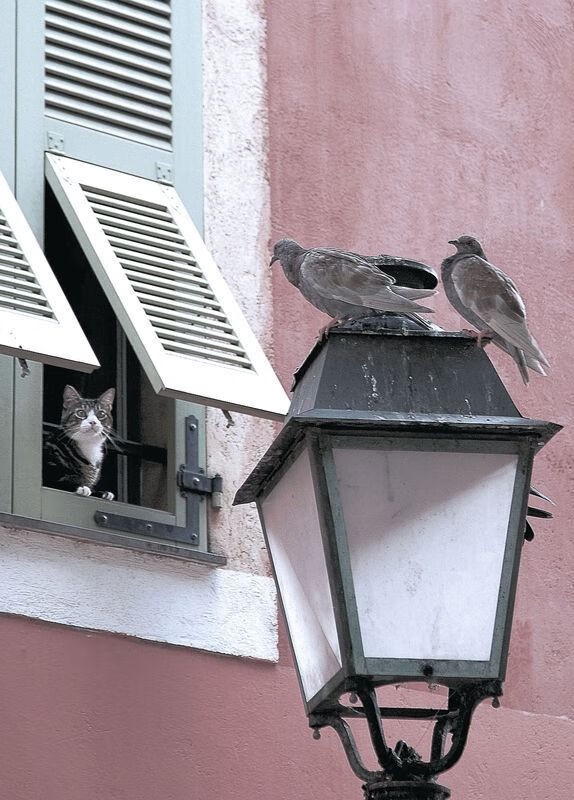 Kaiyun官方登录入口-史上最“炫炸”的三分表演：库里在对阵雷霆比赛中投出六个连续三分球！