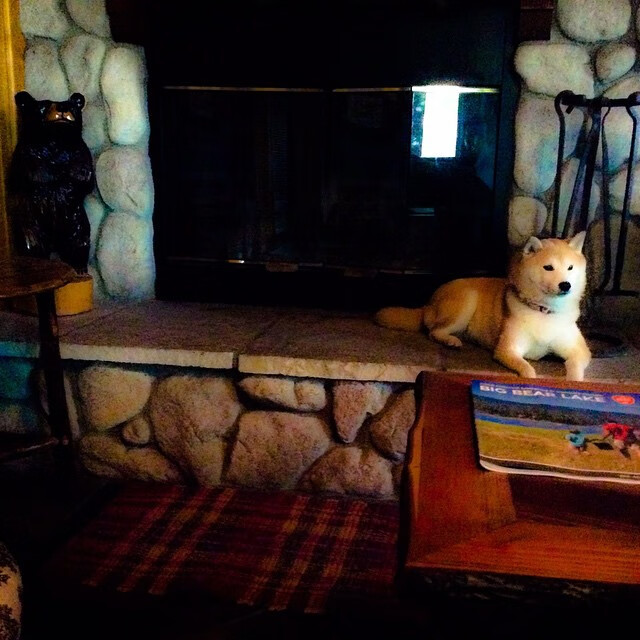 开云网页版-史上最惊险的“冠军战役”完美重演，冠军之战