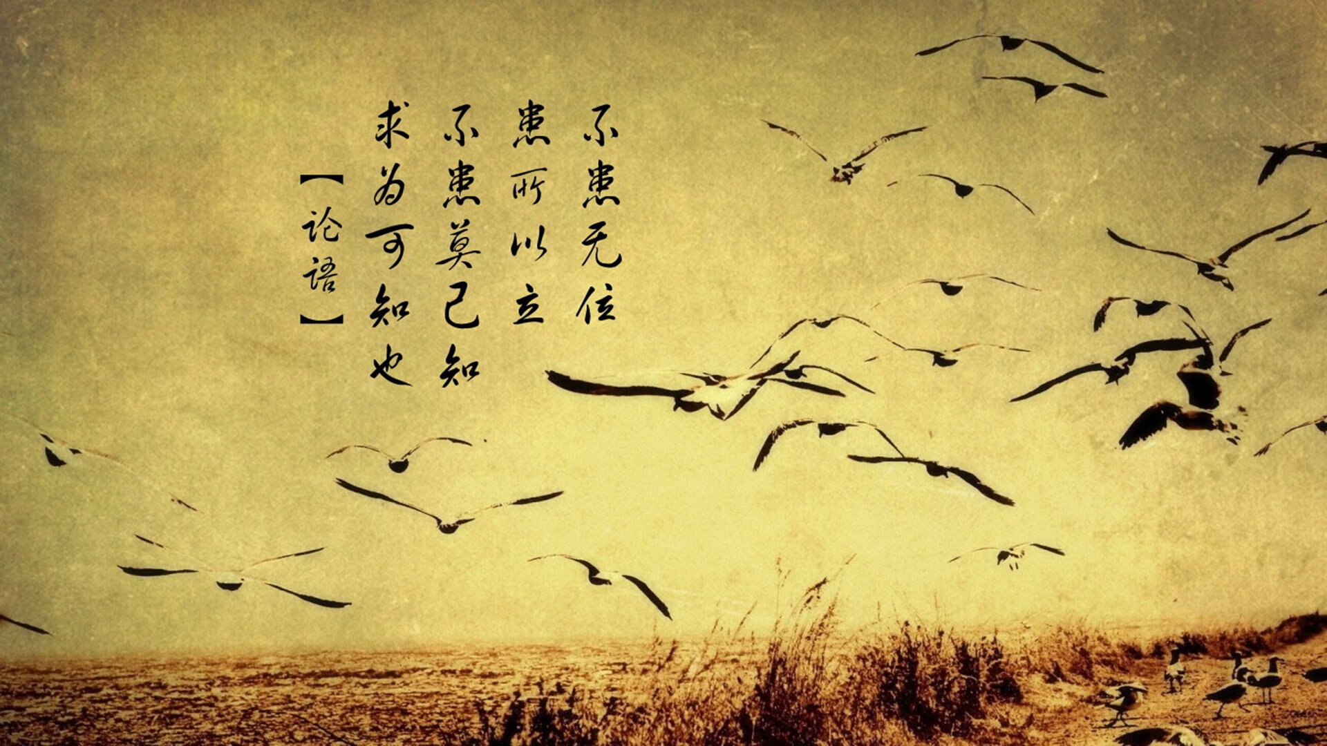 史上最惊险的“冠军战役”完美重演，冠军之战