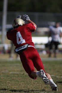 开云官方-CBA赛季转会期开放多支球队进行大规模阵容调整，cba转会动态2021